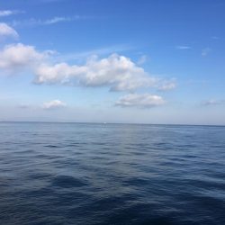 お昼まで穴釣り